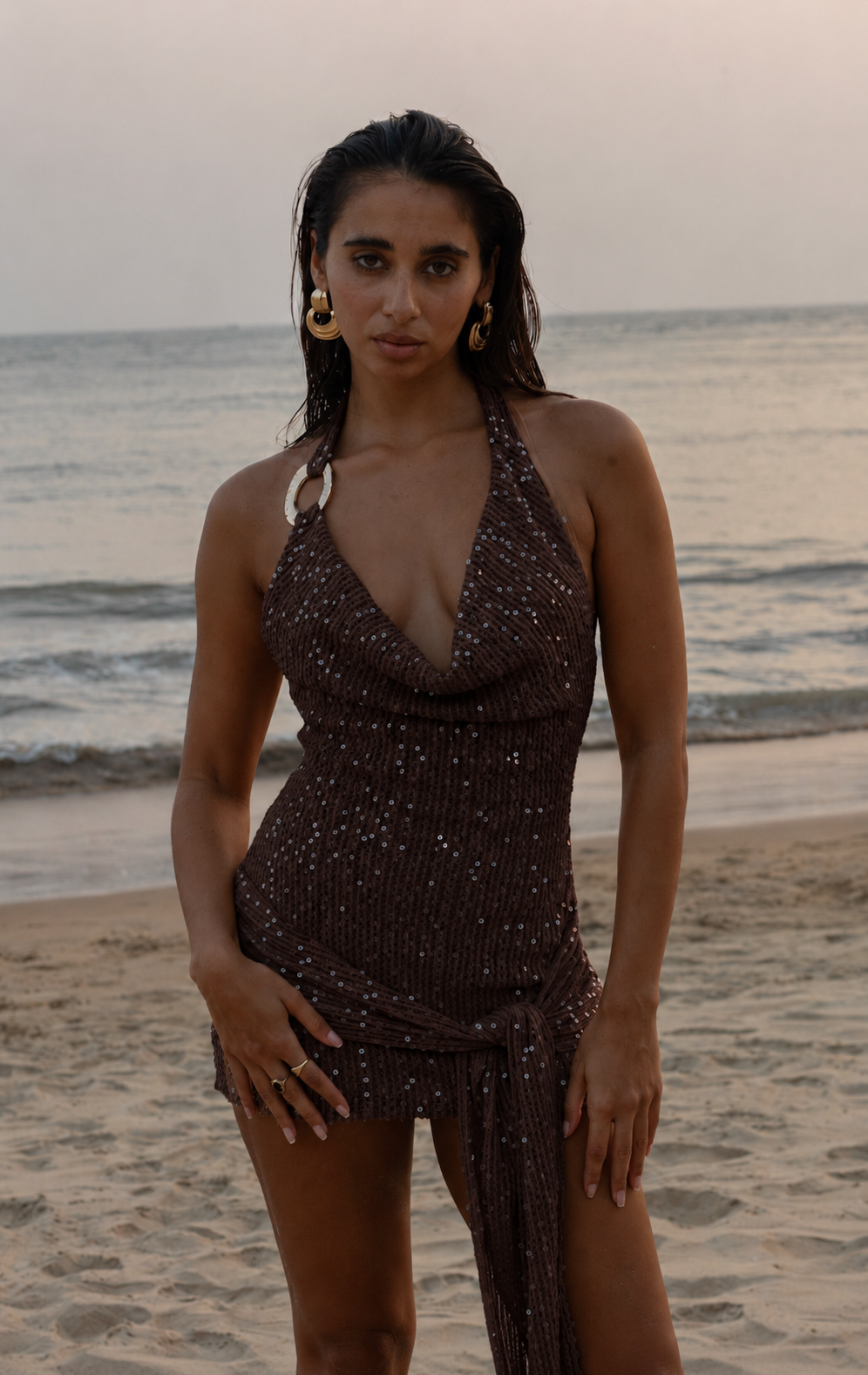Rhea Sequin Mini Dress - Chocolate
